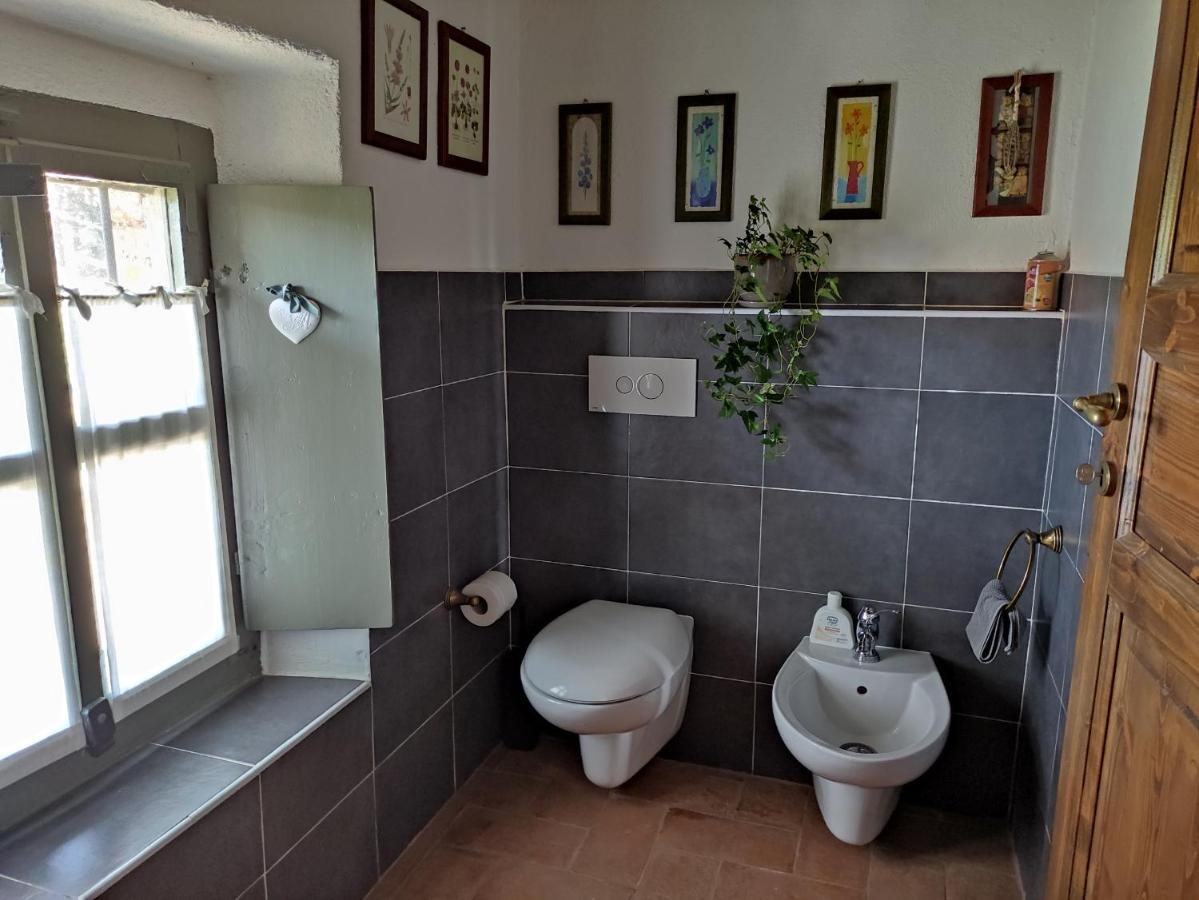 B&B Il Salice Veruno Eksteriør billede